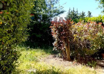 Giardino - Terraced Villa Via Carlo emilio aschieri
 
40, Pavia - photo 10