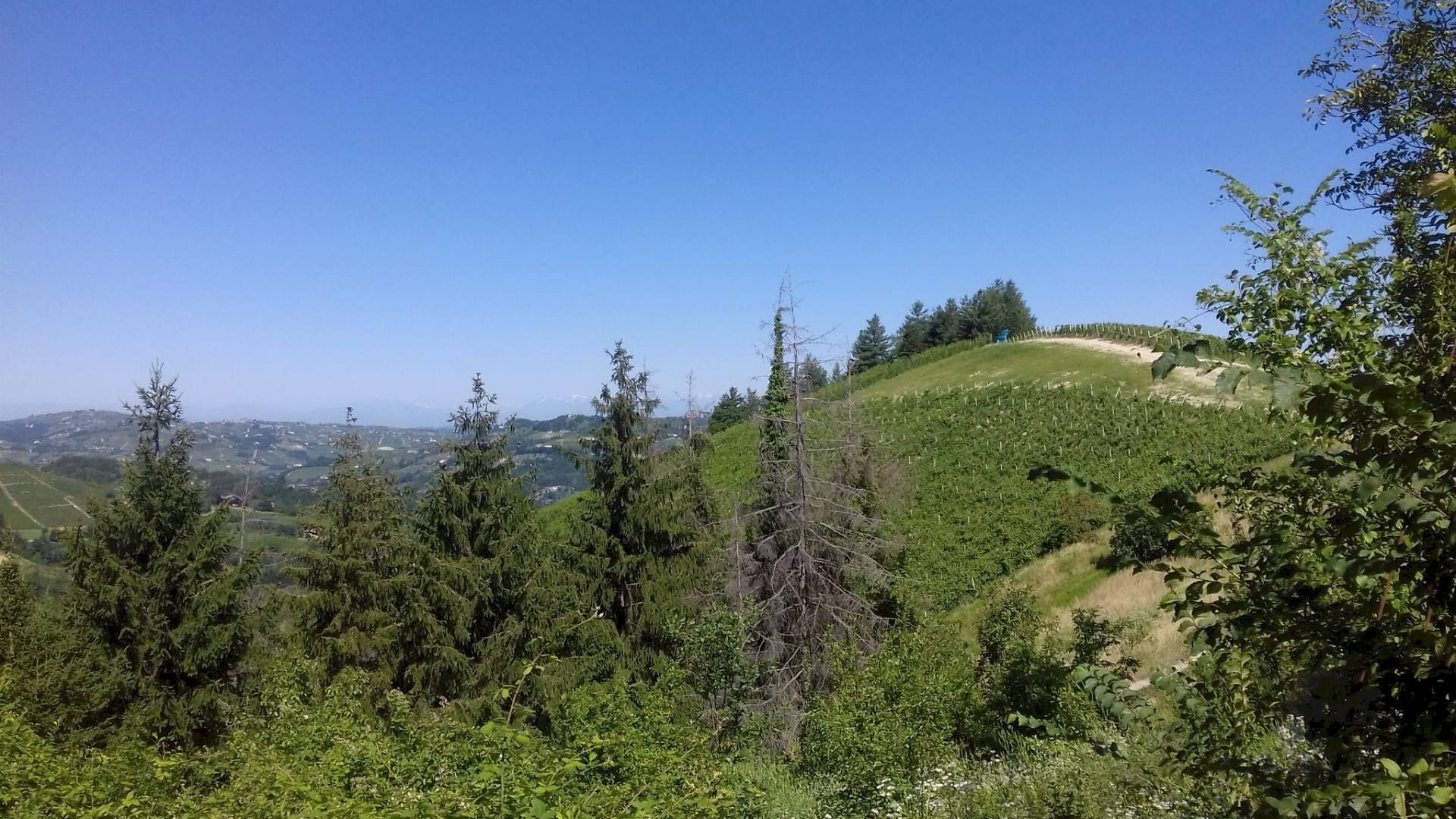 Foto 1 - Rustico Via Canelli, Cassinasco - foto 1