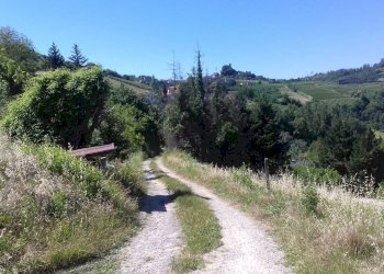 Foto 10 - Rustico Via Canelli, Cassinasco - foto 10