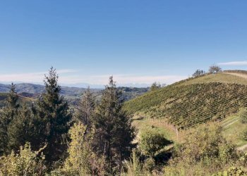 Foto 12 - Rustico Via Canelli, Cassinasco - foto 12