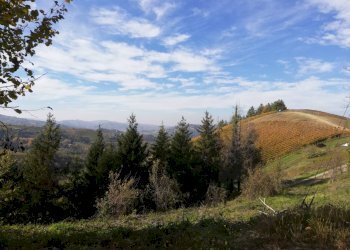 Foto 13 - Rustico Via Canelli, Cassinasco - foto 13