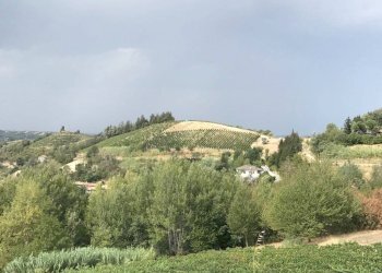 Foto 14 - Rustico Via Canelli, Cassinasco - foto 14