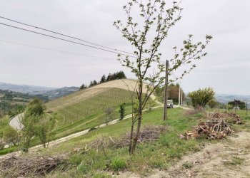 Foto 17 - Rustico Via Canelli, Cassinasco - foto 17