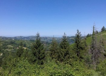 Foto 21 - Rustico Via Canelli, Cassinasco - foto 21