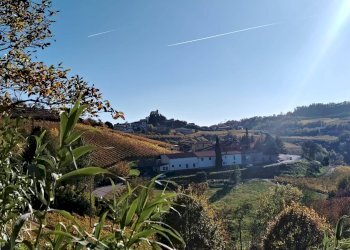 Foto 22 - Rustico Via Canelli, Cassinasco - foto 22