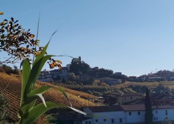 Foto 23 - Rustico Via Canelli, Cassinasco - foto 23