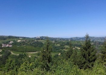 Foto 24 - Rustico Via Canelli, Cassinasco - foto 24