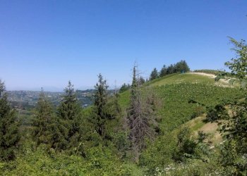 Foto 26 - Rustico Via Canelli, Cassinasco - foto 26