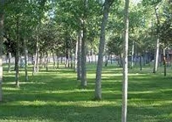 Foto 19 - Appartamento Via Pietro Maroncelli, Viareggio - foto 18