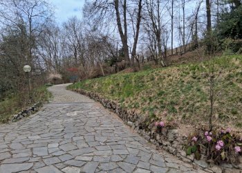 Giardino - Villa LOCALITA' RONDANINO, Alta Valle Intelvi - foto 31