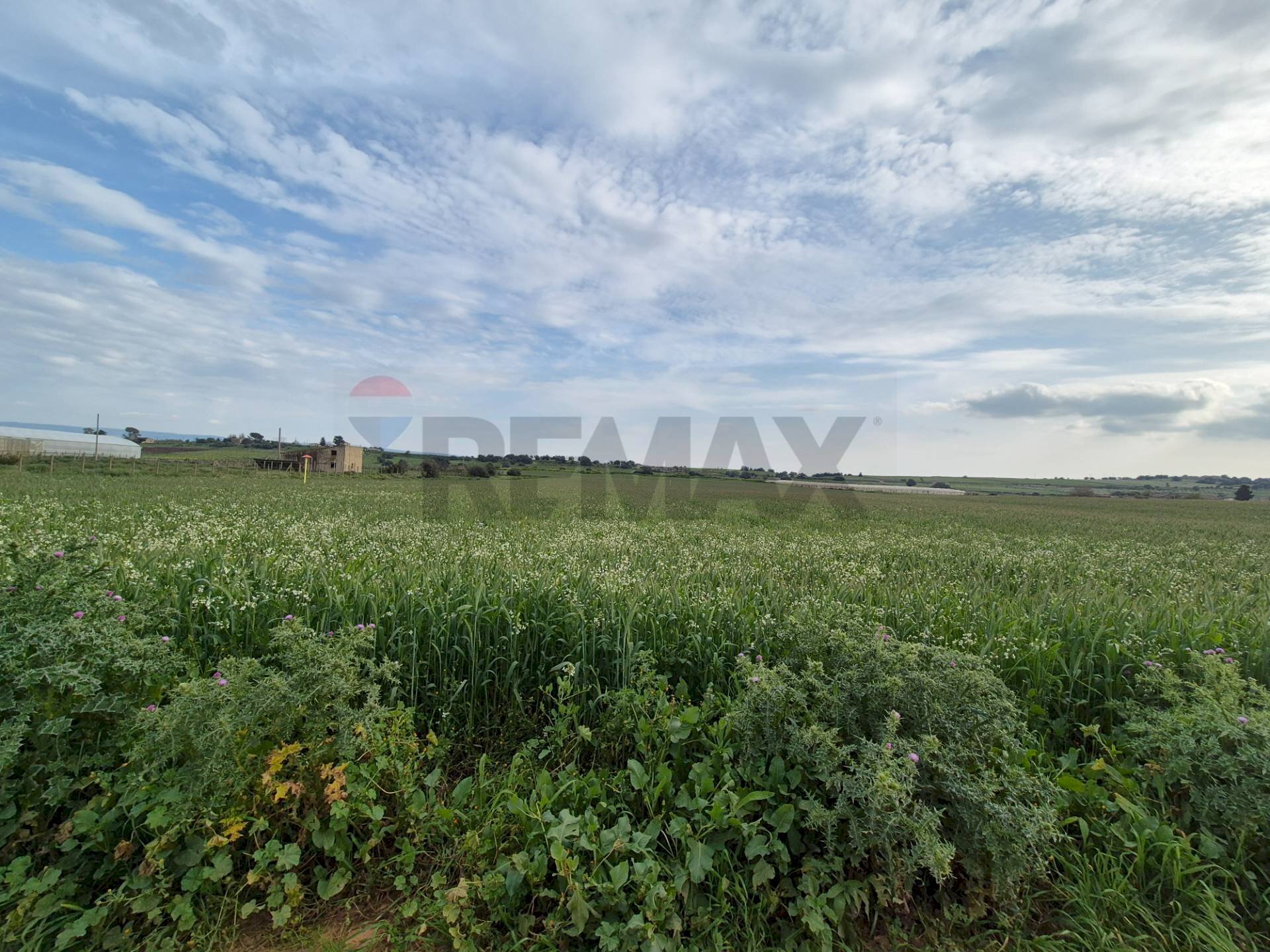 Giardino - Terreno agricolo Contrada Bonincontro, Vittoria - foto 3