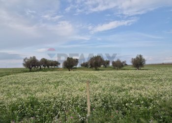 Giardino - Terreno agricolo Contrada Bonincontro, Vittoria - foto 1