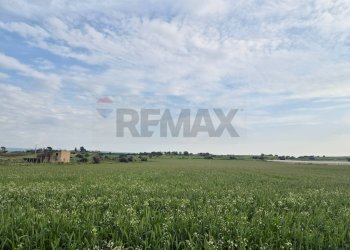 Giardino - Terreno agricolo Contrada Bonincontro, Vittoria - foto 2