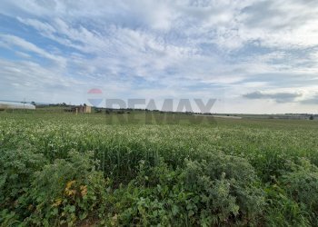 Giardino - Terreno agricolo Contrada Bonincontro, Vittoria - foto 3