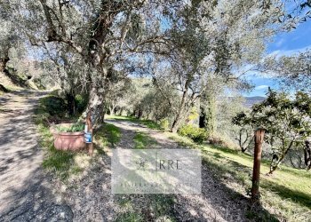 Foto 74 - Rustic Borgata Aracà, Ranzo - photo 74