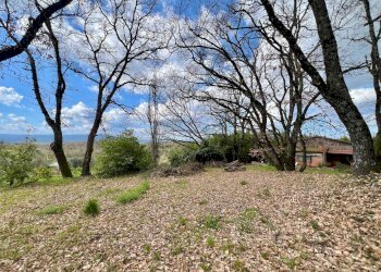 Foto 55 - Villa strada di mocenni, Castelnuovo Berardenga - foto 55