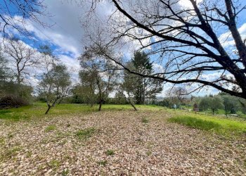 Foto 56 - Villa strada di mocenni, Castelnuovo Berardenga - foto 56