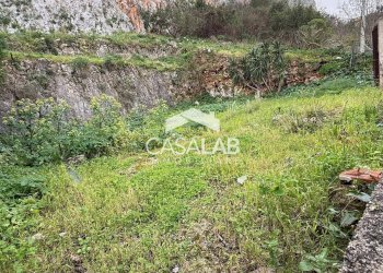 Foto 6 - Terreno agricolo via Calipso
 
snc, Carini - foto 6