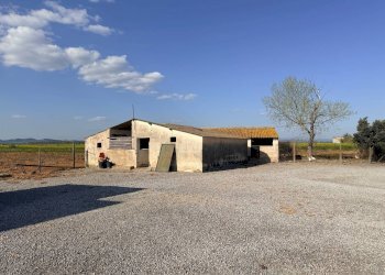 Foto 17 - Rustico Strada Vicinale della Barca del Grazi, Orbetello - foto 17