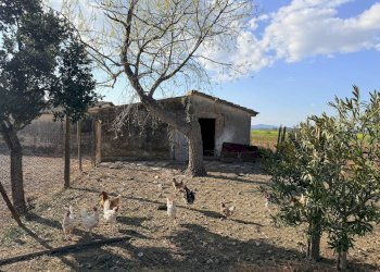 Foto 20 - Rustico Strada Vicinale della Barca del Grazi, Orbetello - foto 20