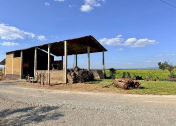 Foto 23 - Rustico Strada Vicinale della Barca del Grazi, Orbetello - foto 23