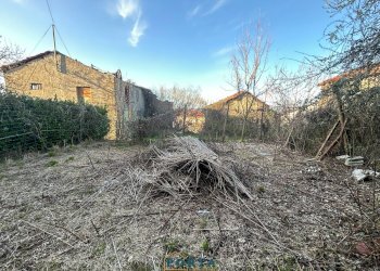 Foto 15 - Rustico Borgata Castagnetti
 
snc, Camerana - foto 15