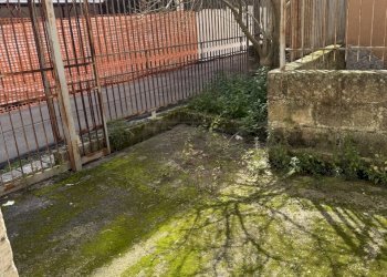 IMG_3335.jpg - Trilocale Via Principe Amedeo 15, Nardò - foto 21