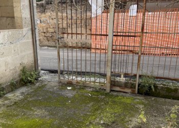 IMG_3336.jpg - Trilocale Via Principe Amedeo 15, Nardò - foto 22