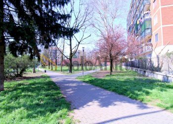 IMG_0222.JPG - Appartamento Via Bruno Maderna 2, Milano - foto 14