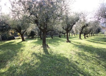 Villa in vendita su unico livello con grande giard - Casa indipendente Via di Tiglio 611, Capannori - foto 17