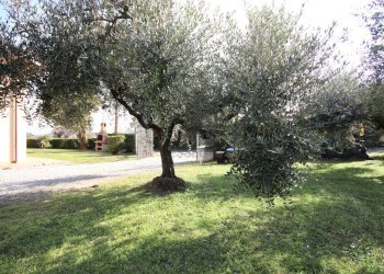 Villa in vendita su unico livello con grande giard - Casa indipendente Via di Tiglio 611, Capannori - foto 18