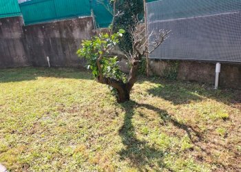 am23.JPG - Appartamento Via Maestà 26, Ameglia - foto 21