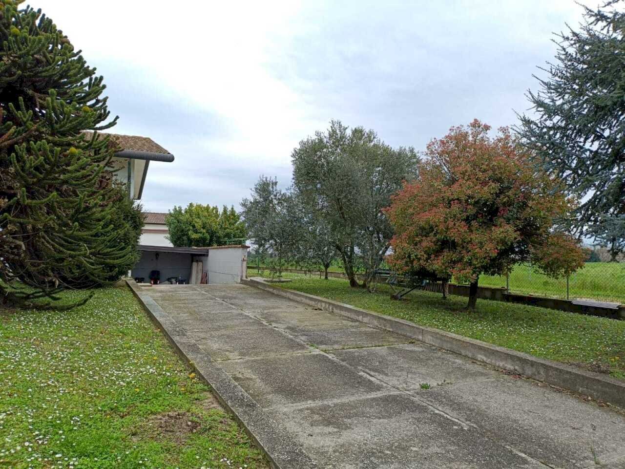 WhatsApp Image 2026-02-13 at 10.36.51.jpeg - Villa Villanova Marchesana - foto 2