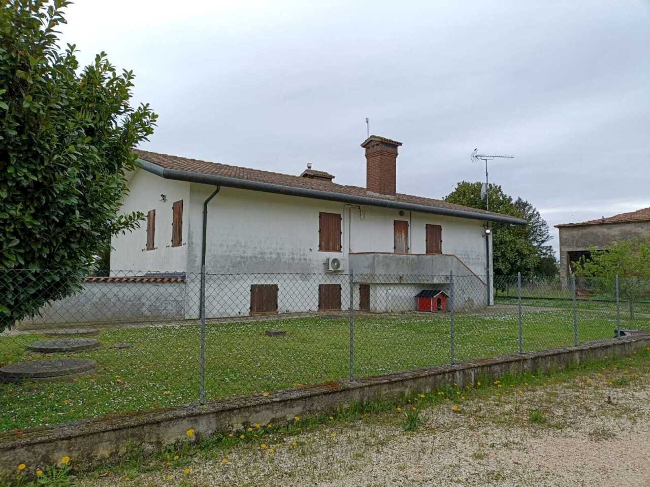 WhatsApp Image 2026-02-13 at 10.36.51 (1).jpeg - Villa Villanova Marchesana - foto 3