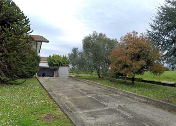 WhatsApp Image 2026-02-13 at 10.36.51.jpeg - Villa Villanova Marchesana - foto 2