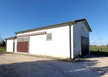 PHOTO-2026-02-13-10-36-52.jpg - Villa Villanova Marchesana - foto 4