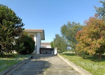 PHOTO-2026-02-13-10-36-45 (1).jpg - Villa Villanova Marchesana - foto 6