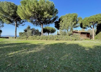IMG_3409.jpg - Villa Via Aurelia Sud, San Vincenzo - photo 22