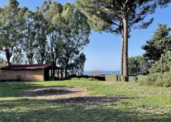 IMG_3410.jpg - Villa Via Aurelia Sud, San Vincenzo - photo 23