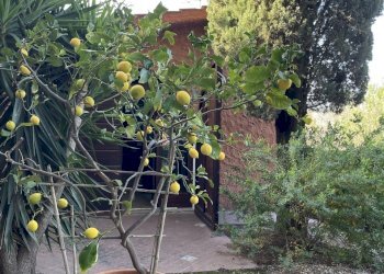 IMG_3381.jpg - Villa Via Aurelia Sud, San Vincenzo - photo 28