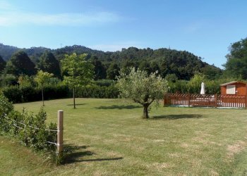 WhatsApp Image 2026-02-04 at 08.51.56.jpeg - Semi-detached house Camaiore - photo 12