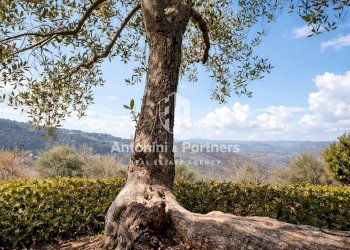 country house le rondini 18.jpg - Semi-detached house Frazione Izzalini, Todi - photo 17