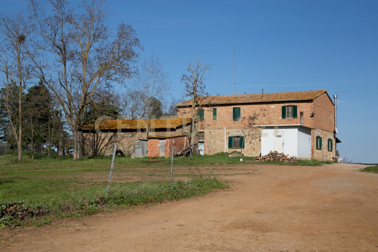 foto 4.jpg - Terreno agricolo località santa rosalia  snc, Civitella Paganico - foto 2