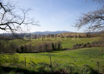 12-0012.jpg - Terreno agricolo località santa rosalia  snc, Civitella Paganico - foto 3