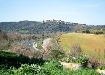 13-0013.jpg - Terreno agricolo località santa rosalia  snc, Civitella Paganico - foto 4