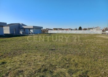 20250114_120758.jpg - Terreno agricolo Via Cimitero, Castelbelforte - foto 2