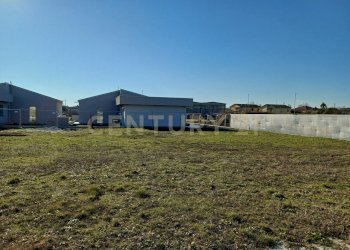 20250114_120846.jpg - Terreno agricolo Via Cimitero, Castelbelforte - foto 5