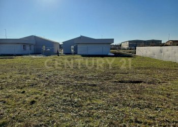 20250114_120856.jpg - Terreno agricolo Via Cimitero, Castelbelforte - foto 6