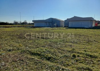 20250114_121006.jpg - Terreno agricolo Via Cimitero, Castelbelforte - foto 7