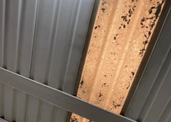 co11.jpg - Commercial Premises Sirolo - photo 11